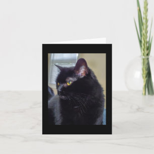 Carte chat noir