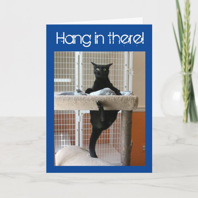 Carte Chat noir accroché à l'arbre de chat (Devant)