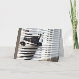 Carte Chat noir dans les aveugles Penser à vous