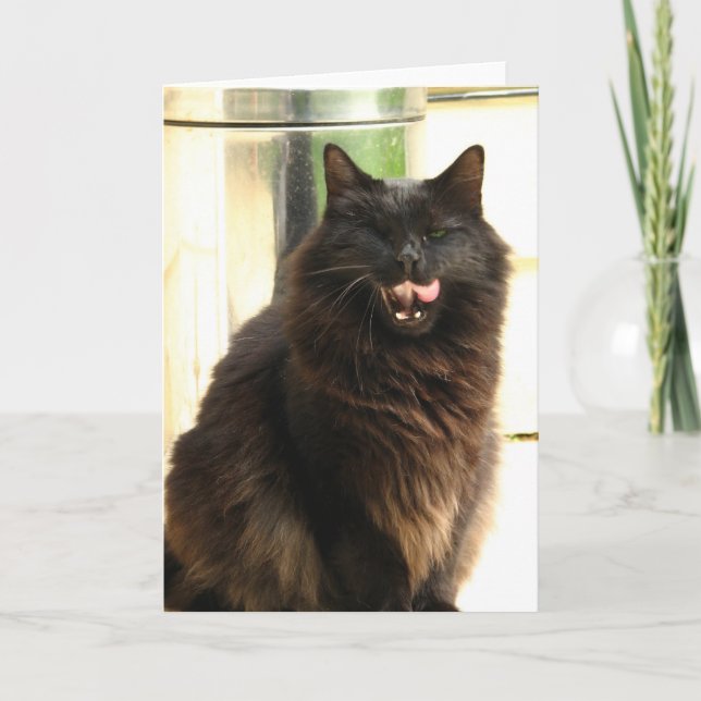 Carte Chat noir de Halloween avec un oeil (Devant)