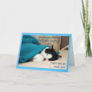 Carte Chat noir et blanc couché