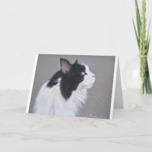 Carte Chat noir et blanc Maine Coon.