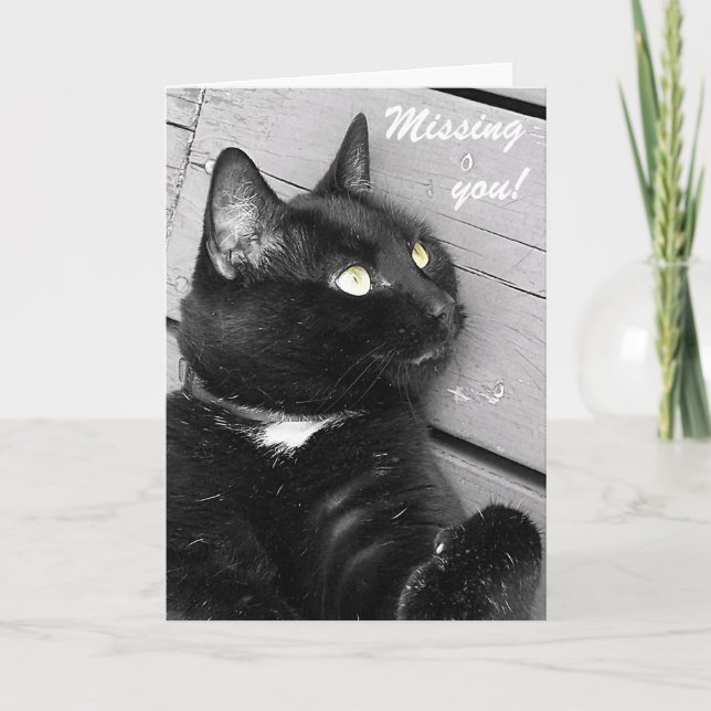 Carte Chat noir et blanc "Missing you" (Devant)