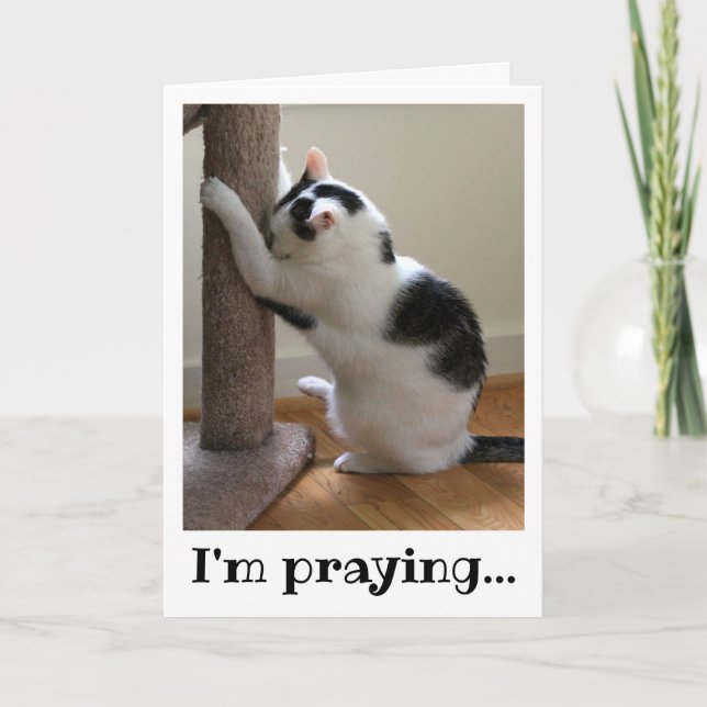 Carte Chat noir et blanc priant (Devant)