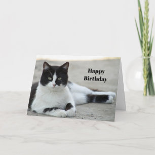 Carte Chat noir et blanc Tuxedo photo Anniversaire
