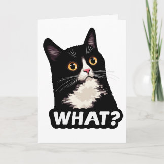 Carte Chat Noir Quoi?