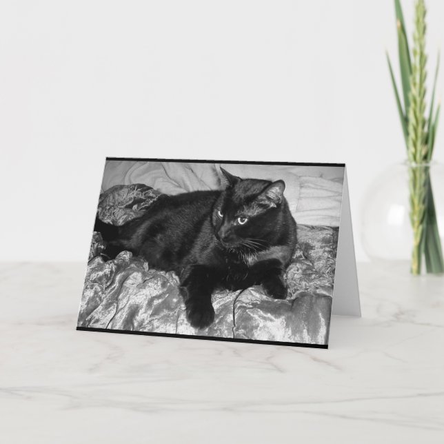 Carte Chat noir sérieux (Devant)