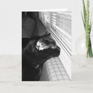 Carte Chat Noir Vous Manquant