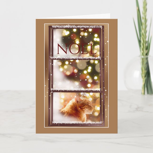 Carte Chat paisible à l'intérieur d'une fenêtre neige Ca (Devant)