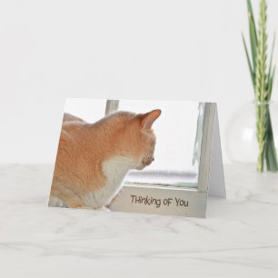 Carte Chat pensant à toi