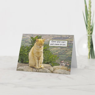 CARTE CHAT PERCHÉ SUR ROCHE, YEUX FERMÉS, HUMOUR, AMI