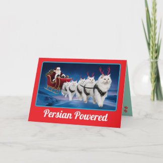 Carte Chat persan blanc drôle Noël vacances