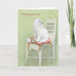 Carte chat persan blanc sur la chaise qui pense à vous