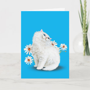 Carte chat perse blanc avec marguerites