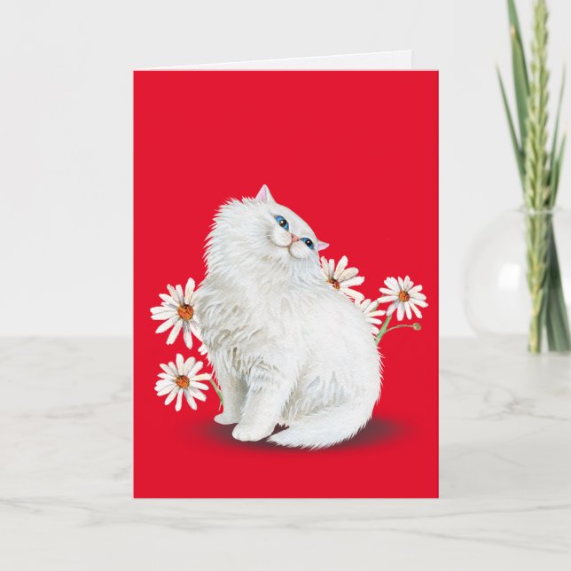 Carte chat perse blanc avec marguerites (Devant)