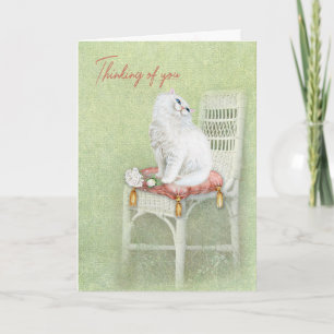 Carte Chat Perse Blanc Sur Chaise Coussin