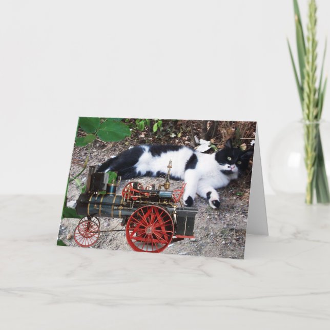 CARTE CHAT PIERO TURQUE NOIR ET BLANC (Devant)