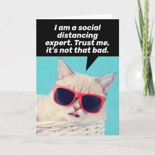 Carte Chat Qui Est Un Expert En Distances Sociales - Car