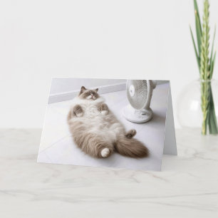 Carte Chat Ragdoll à la retraite se rafraîchissant avec 