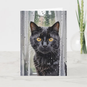 Carte Chat regarde par une fenêtre humide
