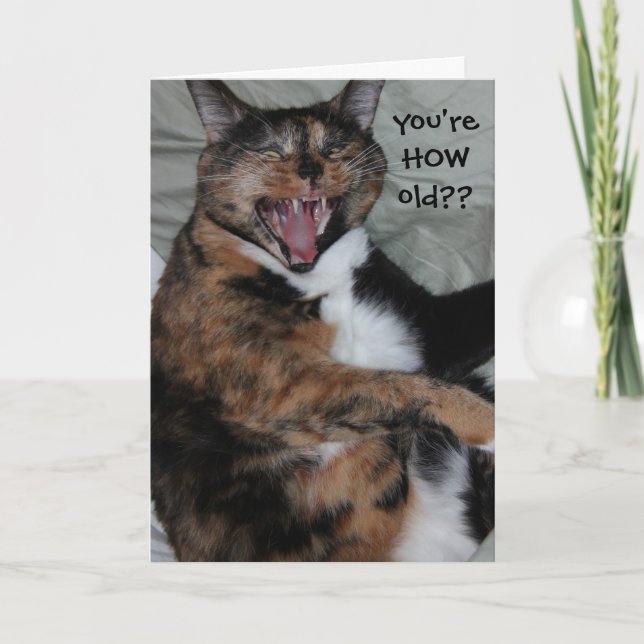 Carte Chat riant drôle, anniversaire (antique) (Devant)