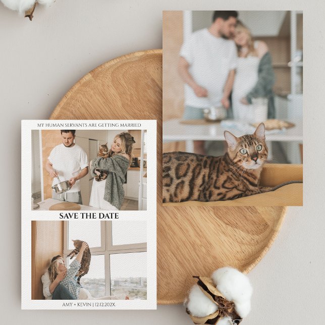 Carte Chat Sauvez la date Humains Se marier Mariage (Créateur téléchargé)