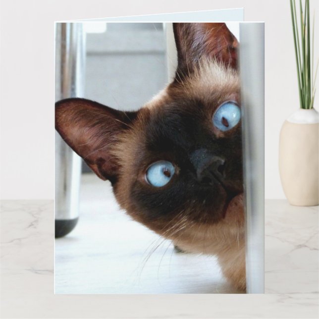 CARTE CHAT SIAMESE CUT QUI PASSE UN JOLI ANNIVERSAIRE !  (Devant)