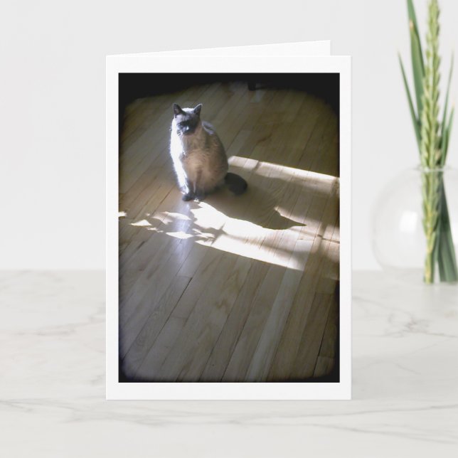 Carte Chat siamois à pointe lilas au soleil (Devant)