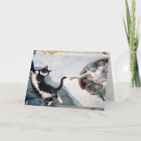 Chat smoking Touchant la Patte Divine             