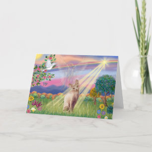 Carte Chat Sphynx - Ange des Nuages