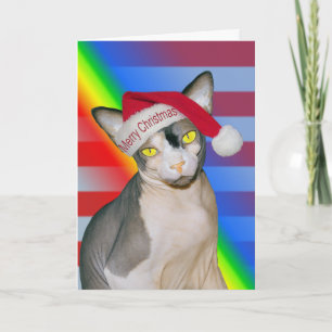 Carte Chat Sphynx Ninja Père Noël Noël Arc-en-ciel