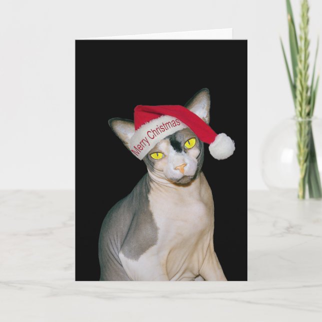 Carte Chat Sphynx Père Noël Noir Noël (Devant)