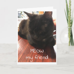 CARTE ***CHAT SUASIF**** VOUS DIT JOLI ANNIVERSAIRE