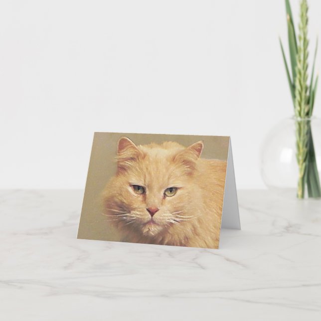 Carte Chat Sucré Se Bien Bientôt (Devant)