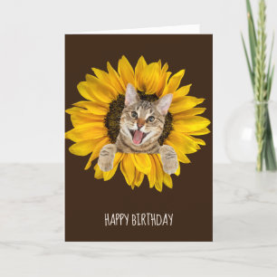 Carte chat tabby à l'anniversaire du tournesol