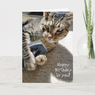 Carte chat tabby d'anniversaire avec brosse