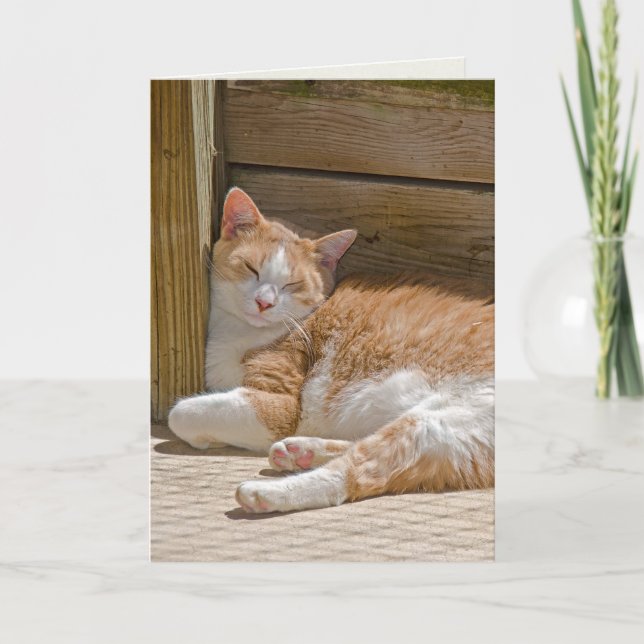 Carte chat tabby endormi pour anniversaire (Devant)