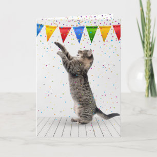 Carte Chat tabby gris d'anniversaire dans les confettis