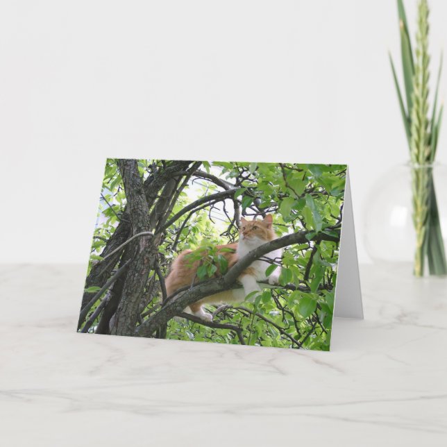 Carte Chat Tabby Orange dans l'arbre (Devant)