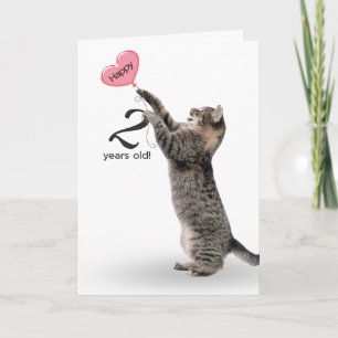 Carte Chat tabby pour son 2ème anniversaire
