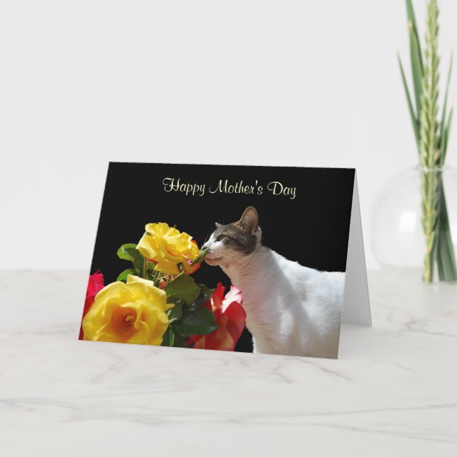 Carte Chat tigré avec le jour de mère de roses (Devant)