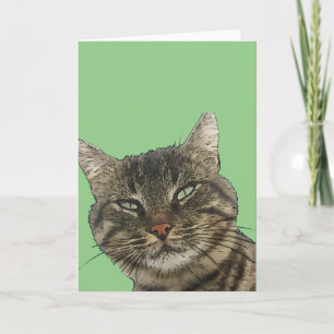 Carte Chat tigré brun charmant découpé en noir
