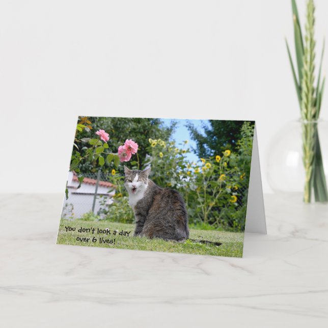 Carte chat tigré d'anniversaire humoristique (Devant)