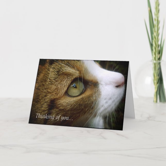 Carte Chat tigré - en pensant à vous cardez (Devant)