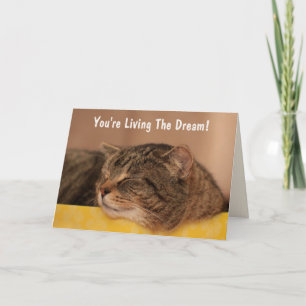 Carte Chat Vivre Le Rêve Anniversaire