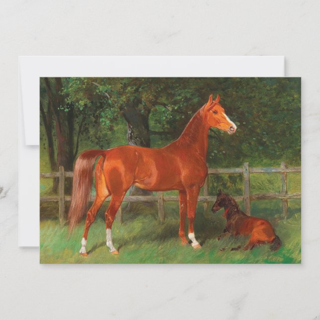 Carte Châtaigne avec du poulain dans le pré | Hans Haag (Devant)