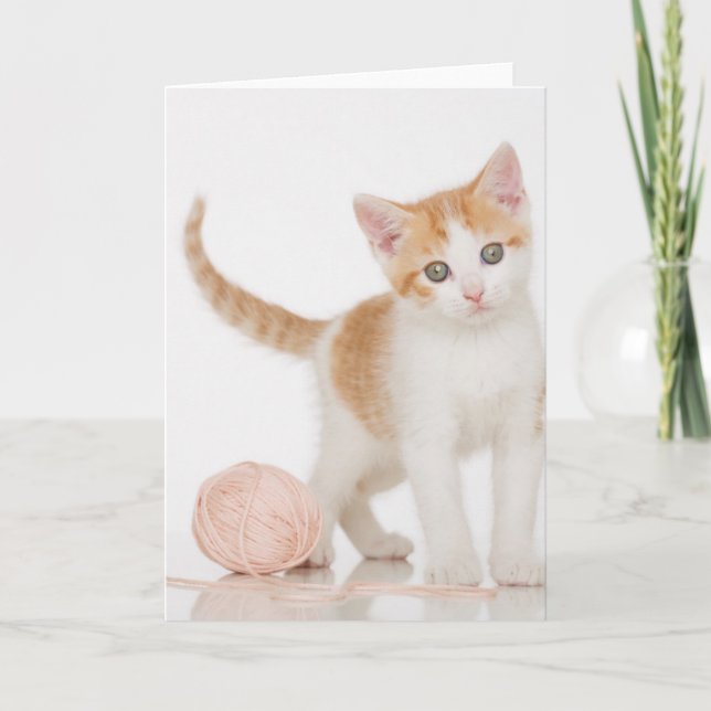 Carte Chaton à côté de boule de ficelle (Devant)