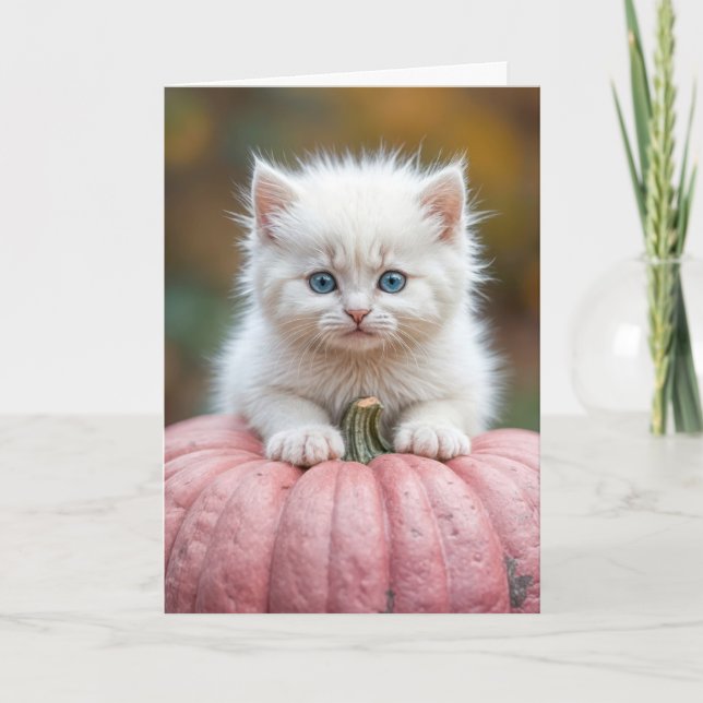 Carte Chaton Blanc Anniversaire Sur Citrouille Rose (Devant)