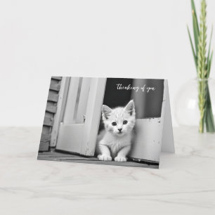 Carte Chaton Blanc Dans La Porte Penser À Vous