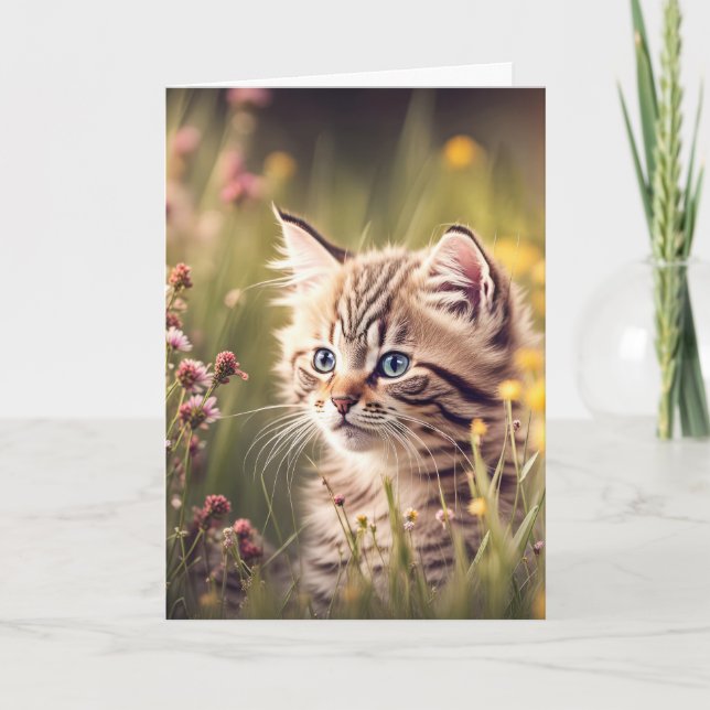 Carte Chaton D'Anniversaire En Fleur sauvage (Devant)